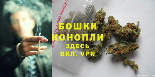 ГАЛЛЮЦИНОГЕННЫЕ ГРИБЫ Белоозёрский