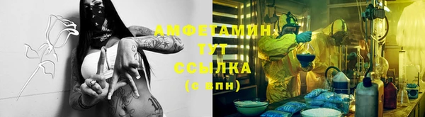 ГАЛЛЮЦИНОГЕННЫЕ ГРИБЫ Белоозёрский
