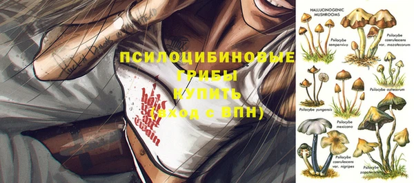 прущая мука Белокуриха