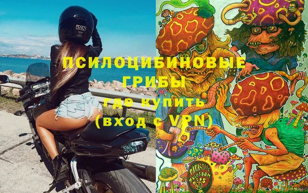 ГАЛЛЮЦИНОГЕННЫЕ ГРИБЫ Белоозёрский