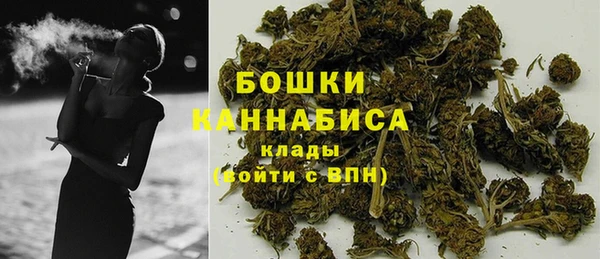 ГАЛЛЮЦИНОГЕННЫЕ ГРИБЫ Белоозёрский