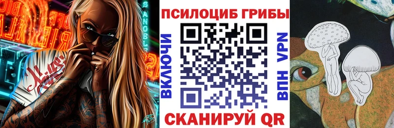 omg зеркало  купить наркоту  Мезень  Псилоцибиновые грибы Magic Shrooms 